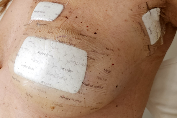 De volta a casa, a aprender a confiar no tempo ⏳