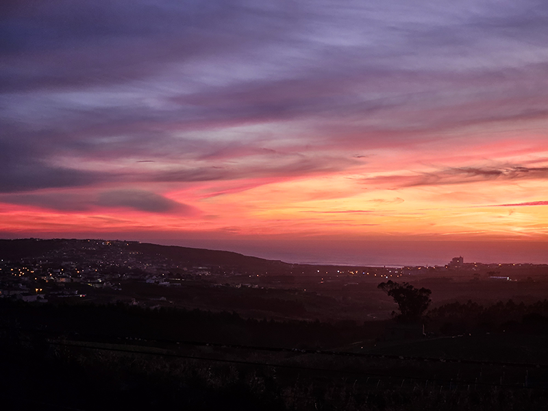 Fisioterapia a domicílio 🖐️