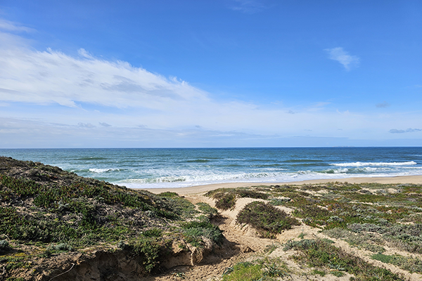 Foto com direitos de autor